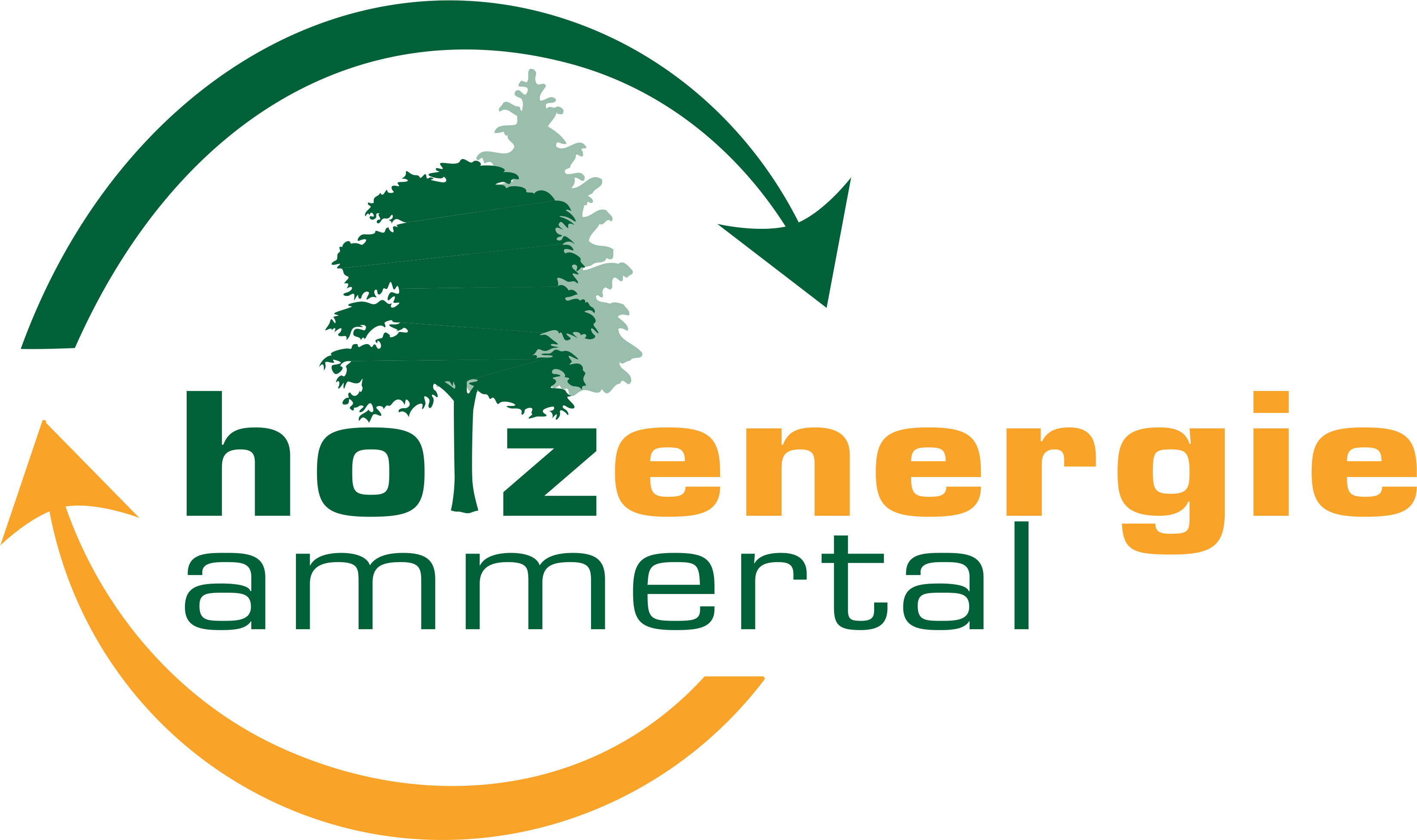 Holzenergie Ammertal